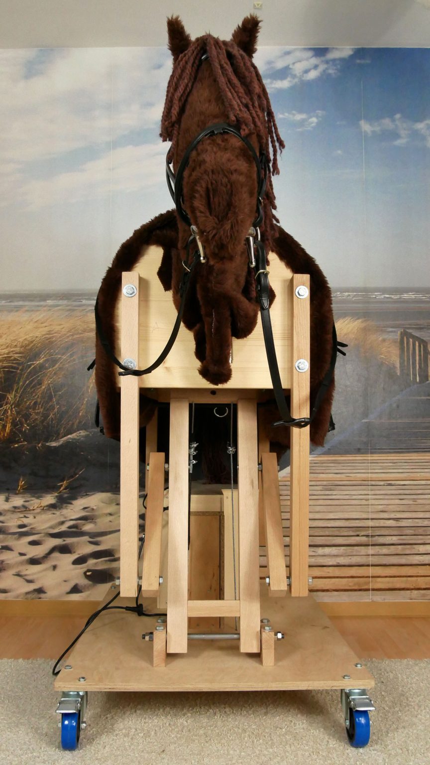 Reitsimulator Kaufen Fr Zuhause